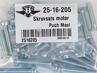 Skruvsats Motor Puch Maxi mfl