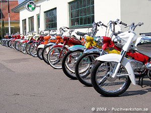 Vårstädning 2006