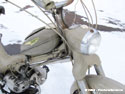 Puch MS 50 - 1955